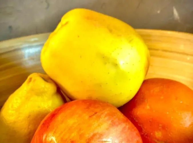 Rocky Sud Apartamento *