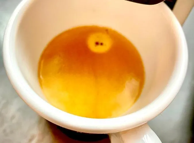 Apartamento Rocky Sud