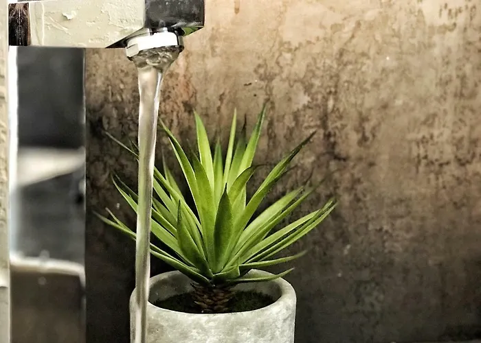 Rocky Sud * Chamonix