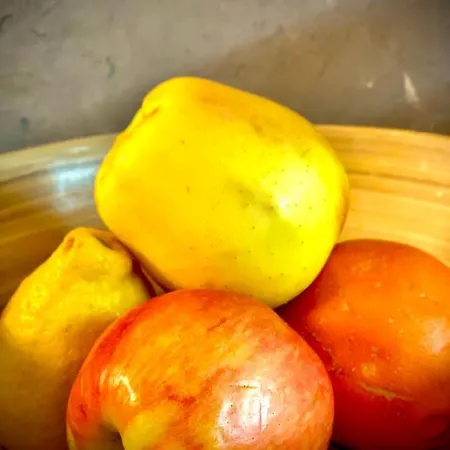 Rocky Sud Apartman *