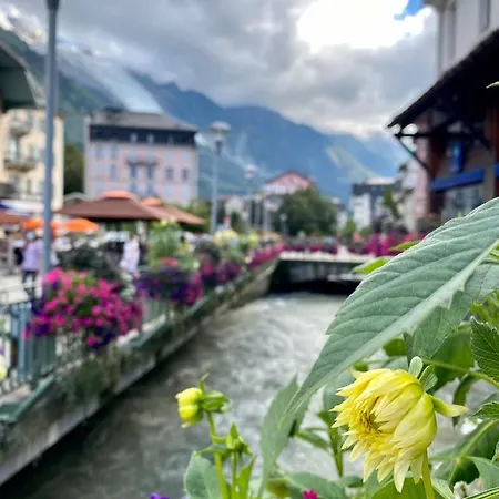 Rocky Sud Apartman *