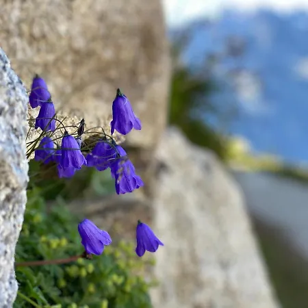 Rocky Sud * Chamonix