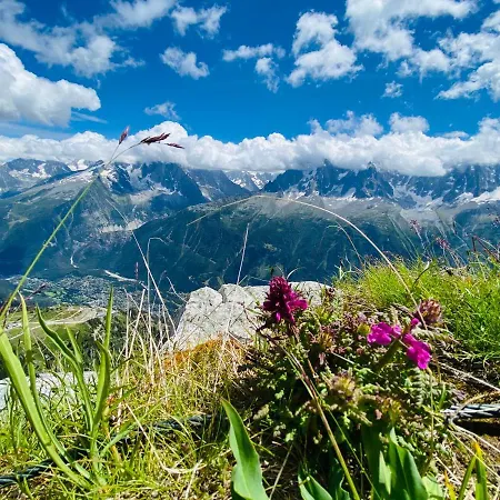 Rocky Sud * Chamonix