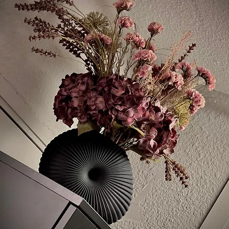 Rocky Sud * Chamonix