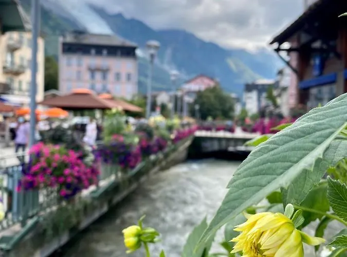 Rocky Sud 아파트 *