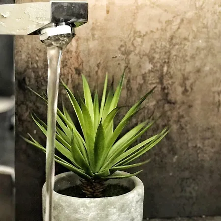 Rocky Sud * Chamonix