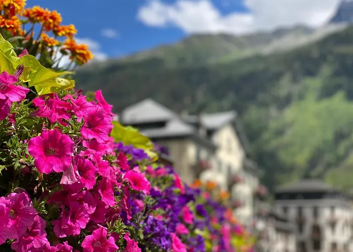 Rocky Sud Chamonix Mont Blanc