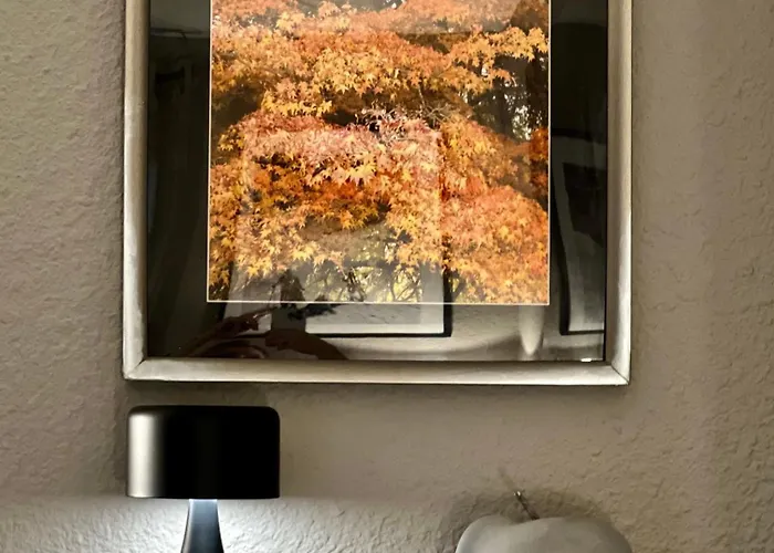 Rocky Sud * Chamonix Mont Blanc